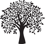 Profile photo for Shawn Mills