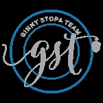 Photo of The Ginny Stopa Team